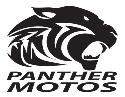CDI Beta 110-2 at Panther Motos 4