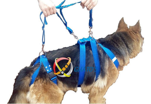 GHATO'S vs NIKITA Ortopedia Veterinaria Dog Harness for Dysplasia-Orthopedic Size 3/4/5 0