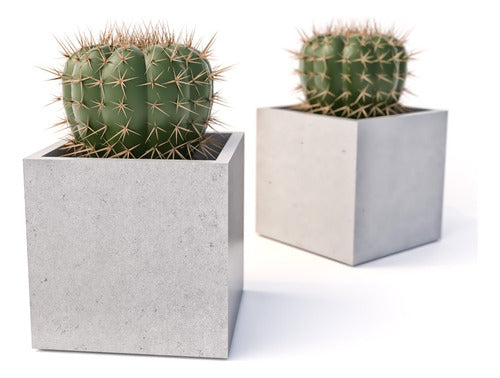 Detta3D Cement Cube Planter Mold Mod2 1