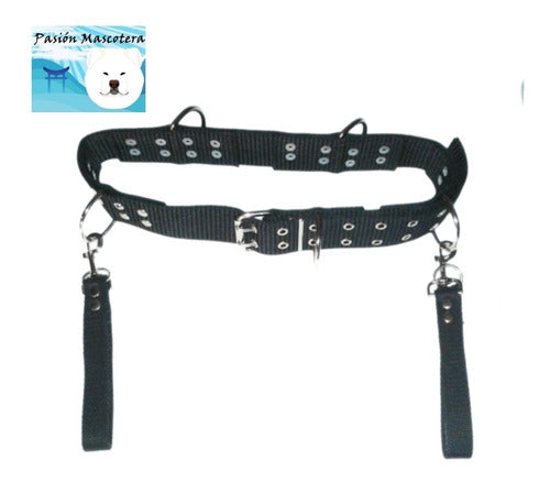 Deluxe Reinforced Dog Walker Belt with 2 Handles 9