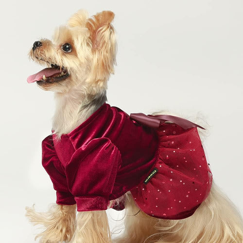 Ropa Perro Vestido Tul Invierno Perro Pequeño Talles Y Color 3