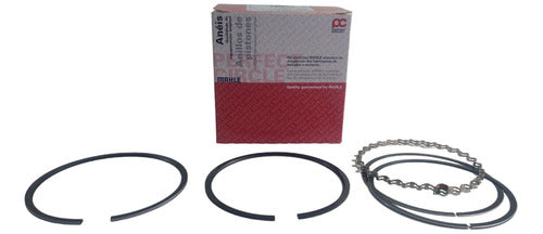 Set of Piston Rings Ford Falcon / F 100 188 221 0