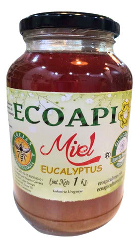 Miel Ecoapi 1kg Monte Nativo - Graviola 1