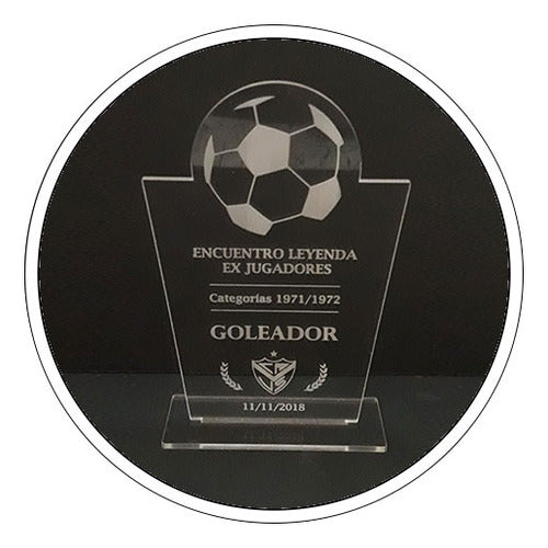 Trofeo, Premio, Placa De Acrílico Grabado - 20 Cm De Alto 0