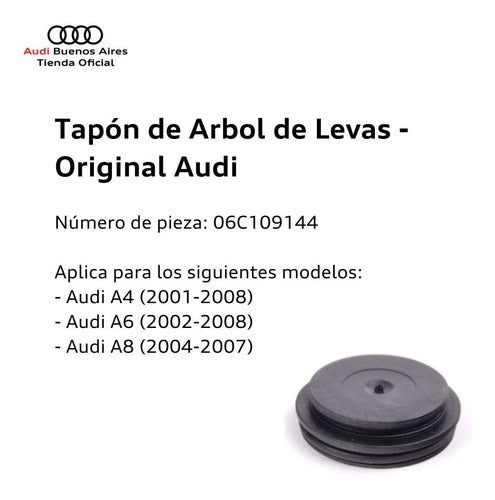 Audi Camshaft Plug for A4 2001 to 2008 1