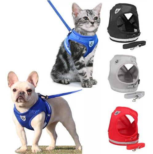 Padded Harness with Leash for Small Dogs and Cats - Various Sizes 0