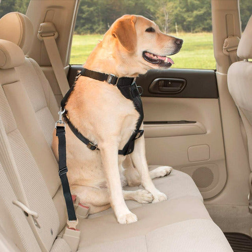 Adjustable Pet Safety Belt 70cm Leash 12