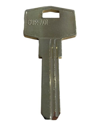 Currao Pack of 10 Computadized Keys for Replication 9