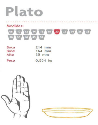 Blum Plates for Pots No. 20 2