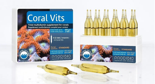 Prodibio Coral Vits Ampoule 10 Units Marine Supplies 0