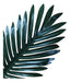 China Artificial Palm Leaf Stem Individual Pack of 6 Units 1002 1