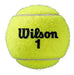 Wilson Roland Garros - Pelota De Tenis De Arcilla 2