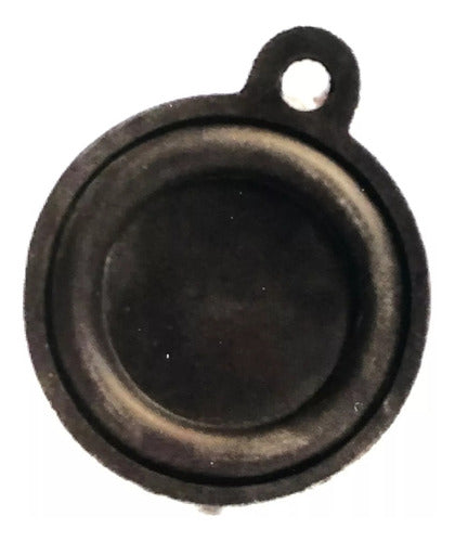 Diaphragm for Longvie Water Heater Valve VAP with Ear Ø 58mm - New 0
