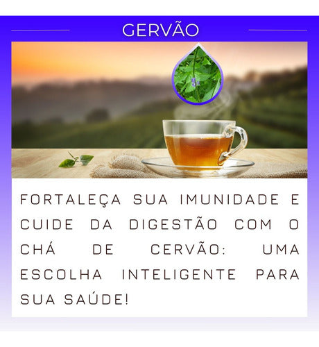 Kit 20 Chás De Gervão-100% Puro Erva Natural Chá 7