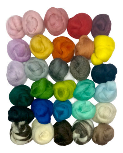 Pack of 30 Assorted Colors Pure Wool Felting Yarn Balls 0