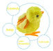 Generic Pack of 5 Plush Pull-String Chick Toys for Kids 2