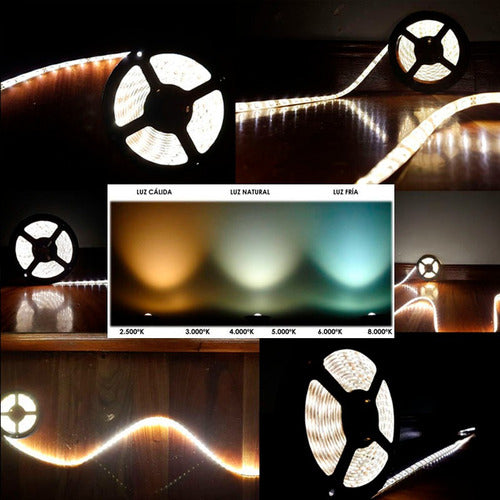 LED Strip 3528 Neutral White Outdoor 5m+ Power Supply 6