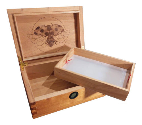 San Antonio Growing Caja De Curado Humidor Cedro XL Hashera 0