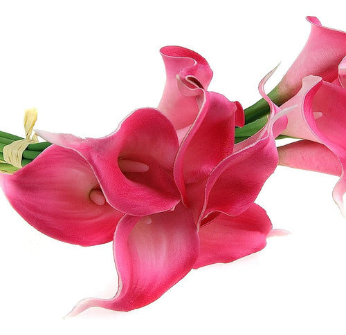 Ewanda Tienda 10 Pcs Real Touch Artificial Calla Lily Latex 2