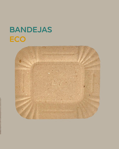800 Disposable Brown Kraft Cardboard Eco Rectangular Trays 23x29 1