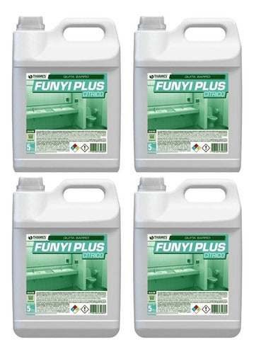 Desincrustante Anti Sarro Funyi Plus Citrico 5lts Thames X4 0