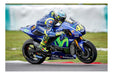 Valentino Rossi Piloto Motociclismo Motos - Lámina 45x30 Cm. 0