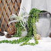 Cewor 4pcs Artificial Succulents Hanging Plants Fake String of Pearls 2