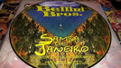 Bellini Bros Samba De Janeiro Picture Vinilo Single Side 97 0