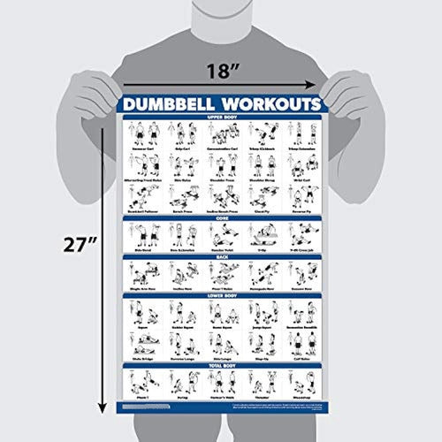 Palace Learning Package of 15 - Exercise Poster Set: Dumbbells 1