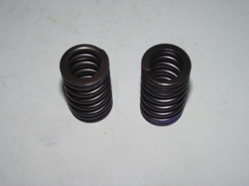 Original Yamaha FZ FI 2.0 Valve Springs 1