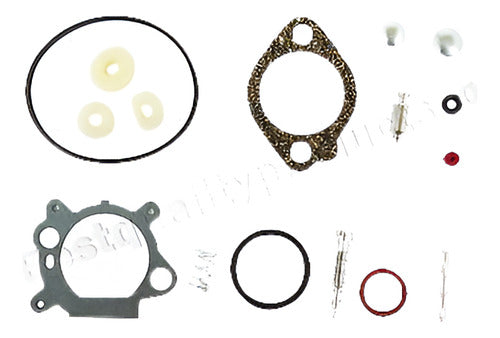 Reconstrucción De Carburador / Kit De Reparación Para Briggs 0