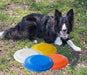 Blendar Disc Frisbee Disco Especial Perro Disc Dog Profesional Y Juego 5