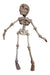 Articulated 3D Skeleton Toy - Choose Your Desired Color 45