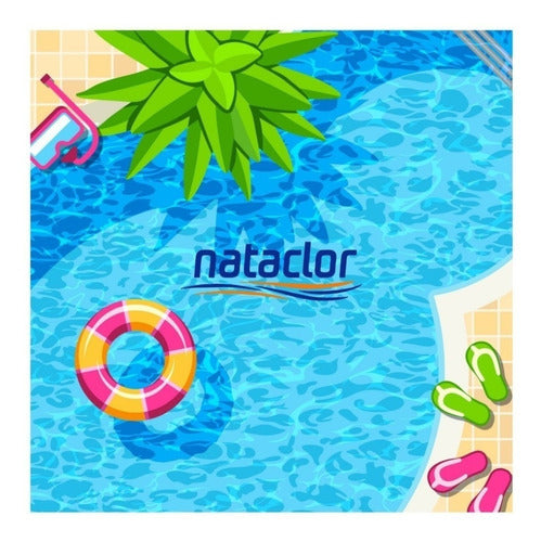 Nataclor Pool Kit with Chlorine Tablets 50g + Float Buoy 3