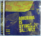 America Is Dying Slowly - Cd Imp Usa - Coolio - Wu Tang Cl 0