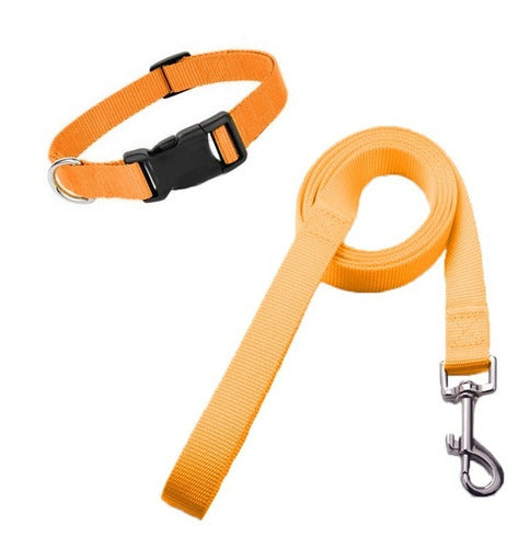 Nylon Collar and Leash Set for Dogs and Cats Various Sizes 50