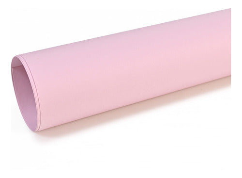 Goldin Pink Pastel Paper 50x70 Pack of 12 0