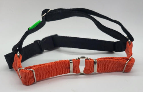 For My Dog Bicolor Anti-Pull Chest Harness Size 0,1 2