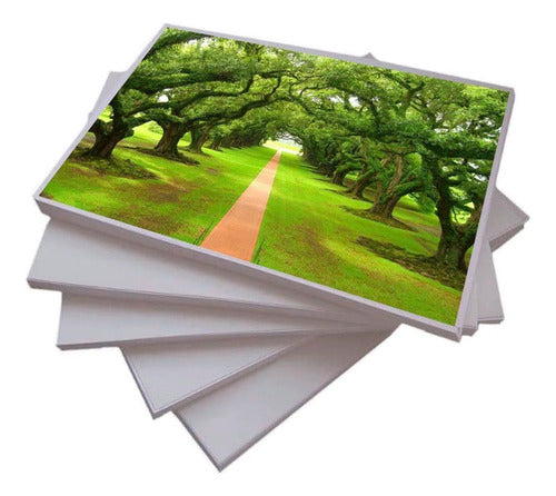 Papel Foto 180g Brilho Glossy A4 210x297mm 1200fls 3