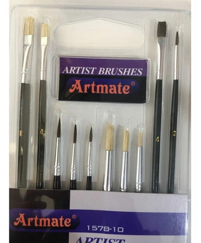 Set of 10 Assorted Round/Flat Paint Brushes in Plastic Case 1