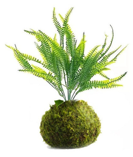 Kokedama Planta 50cm Buxus Ligustro Exterior Artificial 2