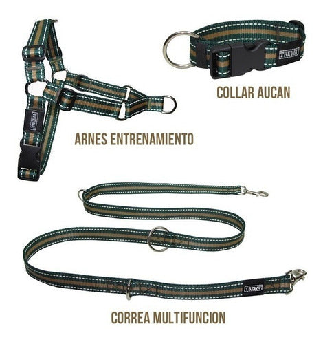 TREWA Arnés Anti-tirones + Collar + Correa Trewa - Talle M 3