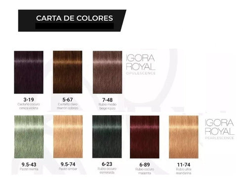 Kit x6 Igora Royal Schwarzkopf Hair Dye Coloration x60g 6