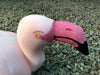 My Funny Hats Flamingo Foam Headpiece Costume 3