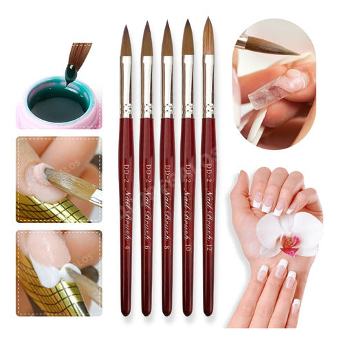 Professional Kolinsky Nail Sculpting Brush Set N4,6,8,10,12 - 100% Marta Hair 4