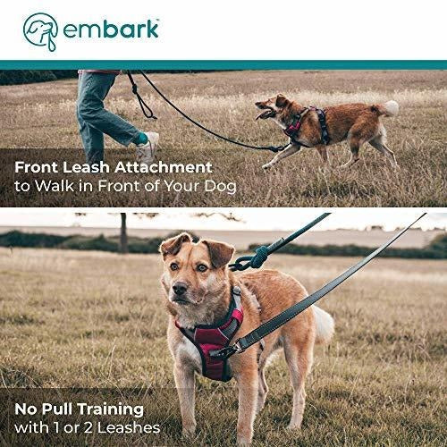 Embark Adventure Dog Harness - X-Large Orange 4