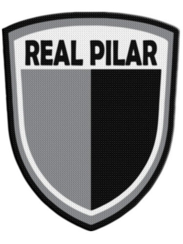 Thermoadhesive Patch Shield 7.5cm Real Pilar 15