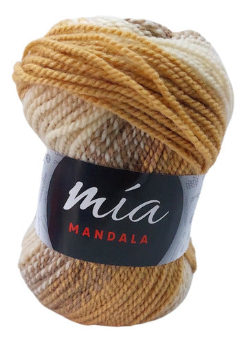 MIA Mandala Variegated Yarn - 5 Skeins of 100g Each 7
