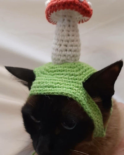 Sombrero De Hongo Para Gatos A Crochet 3