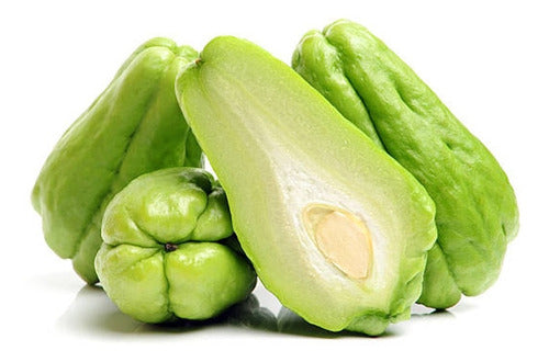 Mi Bosque de Alimentos Papa Del Aire, Yuyu Chuchu Chayote Tayota Agroecológico 1 U 0